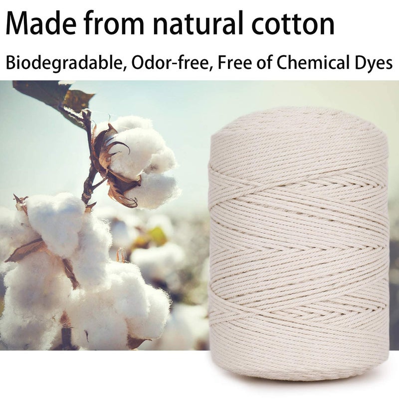 أيه اي- فان AIFUN Macrame Cord 3mm X 547yd غير مصبوغ 100% قطن طبيعي Macrame حبل 4 ستراند حبل قطني ملتوي للتعليق على الحائط يدويًا شماعات النباتات الحرف الحياكة تغليف الهدايا (3 مم × 500 متر) - Image 2